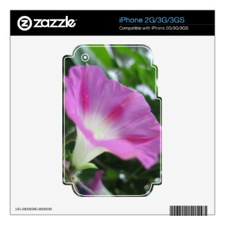 Pink Morning Glory Flower Decals For iPhone 2G