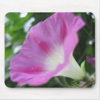 Pink Morning Glory Flower Mousepad