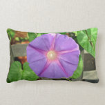 Pink Morning Glory flower on a sunny day Throw Pillows