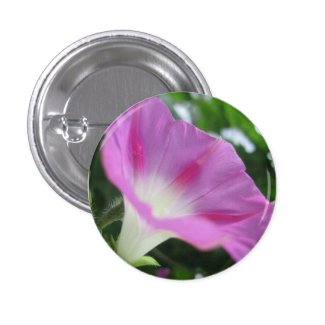 Pink Morning Glory Flower Pins