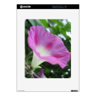 Pink Morning Glory Flower Skin For The iPad