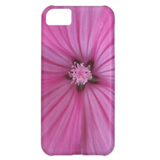 Pink Morning Glory ~ Macro Photography Case For iPhone 5C