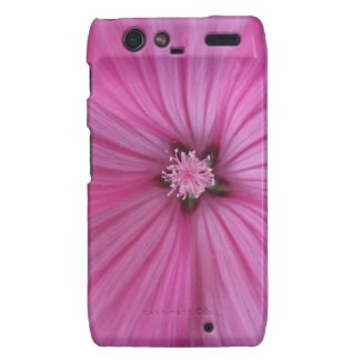 Pink Morning Glory ~ Macro Photography Motorola Droid RAZR Cover