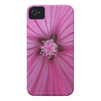 Pink Morning Glory ~ Macro Photography Case-Mate iPhone 4 Case