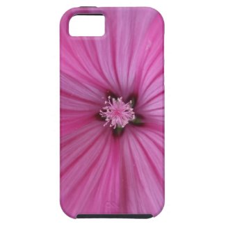 Pink Morning Glory ~ Macro Photography iPhone 5 Covers