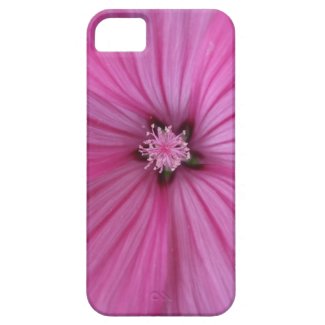 Pink Morning Glory ~ Macro Photography iPhone 5 Cases