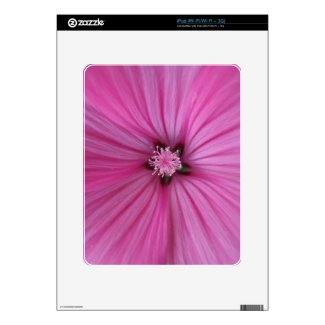 Pink Morning Glory ~ Macro Photography iPad Decal