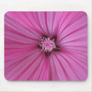 Pink Morning Glory ~ Macro Photography Mouse Pad