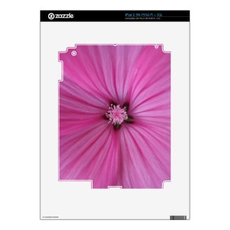 Pink Morning Glory ~ Macro Photography iPad 2 Skins