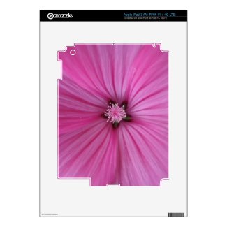 Pink Morning Glory ~ Macro Photography iPad 3 Decal