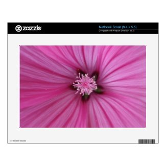 Pink Morning Glory ~ Macro Photography Decals For Netbooks
