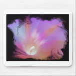 Pink Morning Glory Mouse Pads