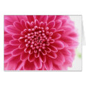 Pink Mum cards