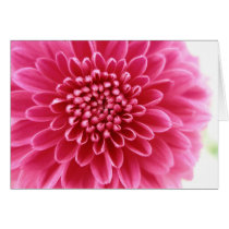 Pink Mum cards