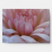 Pink Mum Close Up Envelopes