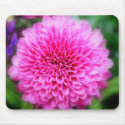 Pink Mum mousepads