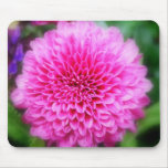 Pink Mum