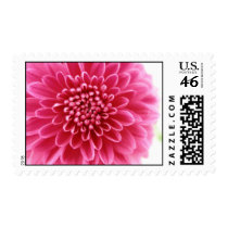 Pink Mum postage