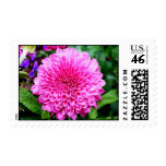 Pink Mum