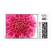 Pink Mum Stamps