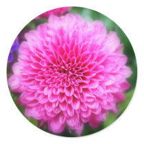 Pink MUM stickers