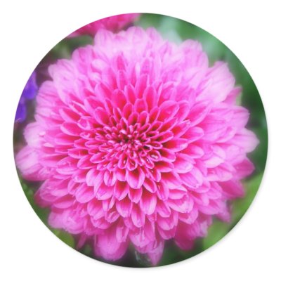 Pink MUM Sticker by princessklb07