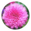 Pink MUM stickers by princessklb07 Pink MUM stickers