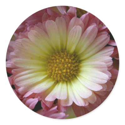Pink Mum Sticker by lioneyes