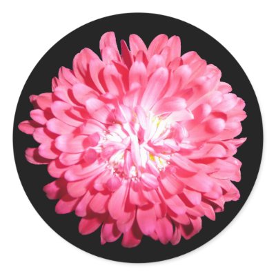 Pink mum sticker by bkang22