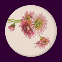PINK MUMS by SHARON SHARPE magnets