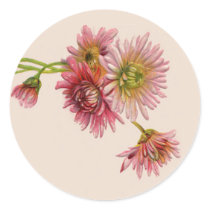 PINK MUMS by SHARON SHARPE stickers