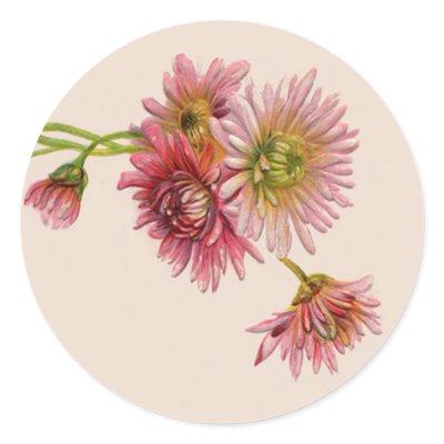 PINK MUMS by SHARON SHARPE Sticker by sharonsharpe