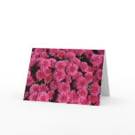 Pink Mums Card cards