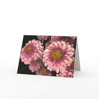 Pink Mums Mothers Day