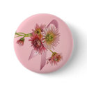 PINK MUMS & RIBBON by SHARON SHARPE buttons by sharonsharpe PINK MUMS & RIBBON by SHARON SHARPE buttons