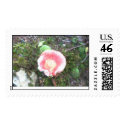 "PINK MUSHROOM" postage by crrfan "PINK MUSHROOM" postage