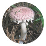Pink Mushroom Sticker