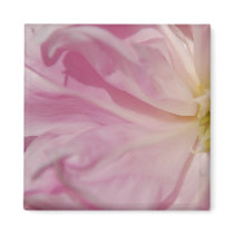 Pink n' Dreamy Magnet by pulsDesign Pink n' Dreamy Magnet