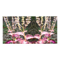 Pink n Silver Floral TEMPLATE photo cards by doonagiri Pink n Silver Floral TEMPLATE photo cards