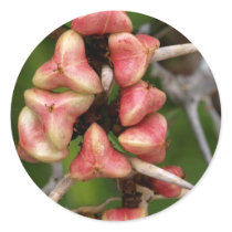 Pink n Thorny stickers