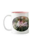 florist, wildflower, pink native azalea, native