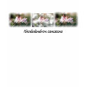 Pink Native Azalea T-Shirt