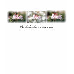 Pink Native Azalea T-Shirt