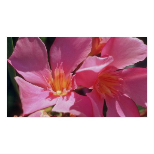 Pink Nerium Oleander flowers Business Card Template (back side)