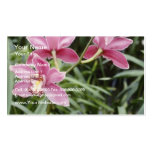 Pink New Dawn (Cymbidium) flowers Business Card Templates