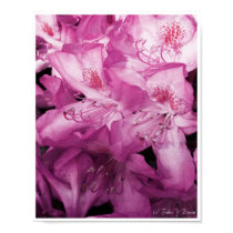 Pink of Hue posters