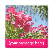 Pink Oleander Announcement Magnet magnets