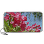 Pink Oleander Dreams Iphone Speaker