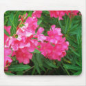 Pink Oleander mousepads by slinky789 Pink Oleander mousepads