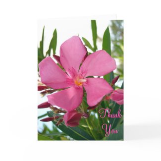 Pink Oleander Thank You Card